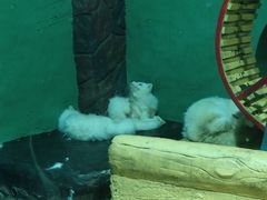 -大连圣亚海洋世界