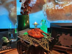 -地球美食剧场