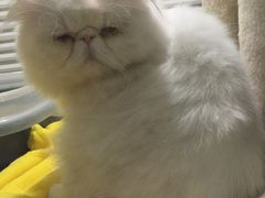 -爱贝口腔·牙周诊疗·种植修复中心