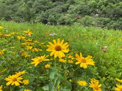 -沕沕水生态风景区