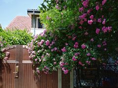 -天津五大道文化旅游区