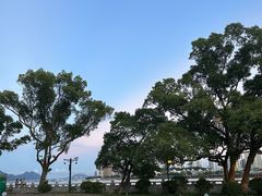 -江心屿景区