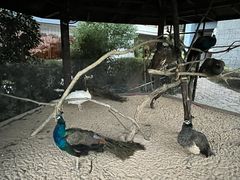 -天目湖涵田度假村