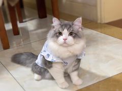 -派特宠物医院(圆融广场店)