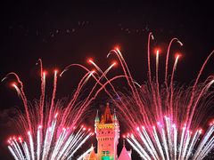 -青岛方特梦幻王国