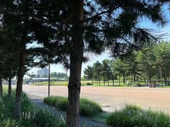 -汉长安城未央宫国家考古遗址公园