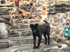 -北京水岸山吧度假村(雁栖镇店)