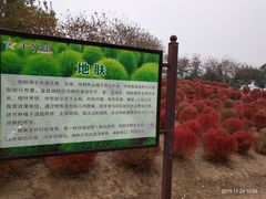 -金卉庄园