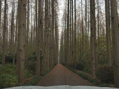 -上海怡沁园度假酒店