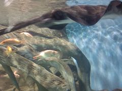 -苏州海洋馆