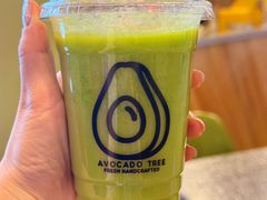 -油梨树AVOCADO TREE(嘉里中心店)