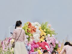 -杭州湾海上花田景区