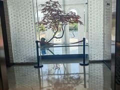 -一麦·龙岛(上海青浦店)