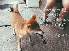 -SPARROW 家雀儿咖啡本店