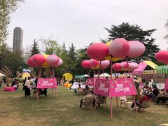 -西苑公园