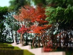 -上海市龙华烈士陵园