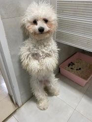 -哈妮儿童摄影(德清店)