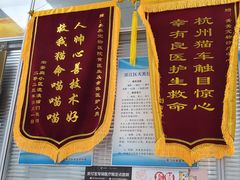 -美美宠物诊疗中心·异宠·骨科(滨江东信分院)