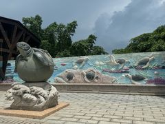 -广东惠东海龟国家级自然保护区