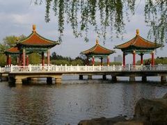 -长春市南湖公园