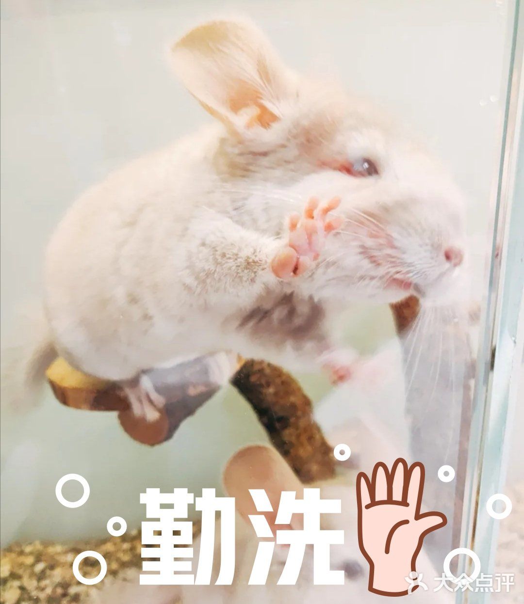 欢乐的小小动物园