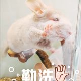 欢乐的小小动物园
