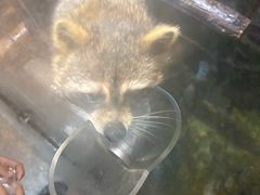 -哈尔滨波塞冬海底世界