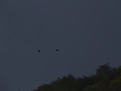-狼牙山风景区