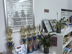 -常青藤国际象棋(新奥店)