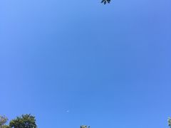 -洪崖丹井