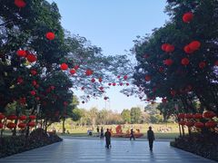-荔香公园