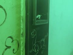 -MOJO密室逃脱(中街旗舰店)