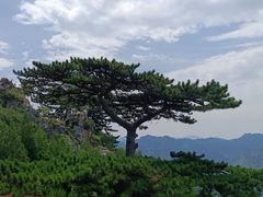 -圣莲山风景区