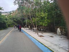 -青岩寺风景区