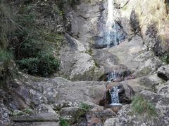 -东天目山风景区