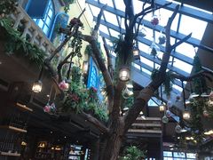 -屋顶花园餐厅(步行街老地王大厦店)