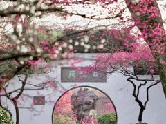 -杭州植物园