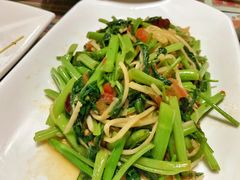 酸笋通心菜-呐咪傣园·云南菜(石厦店)