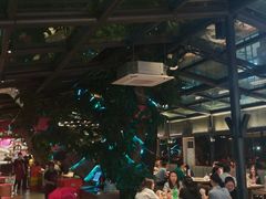 -海岛八号龙虾烧烤田鸡(蓝天路总店)