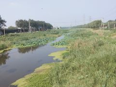 -瀛海足球主题公园