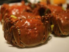 -甄御•海鲜新青岛菜(麦岛店)