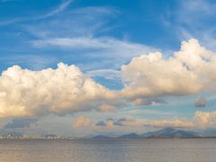 -深圳湾公园-停车场