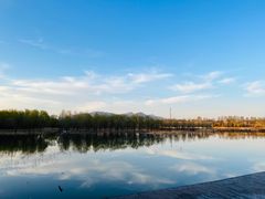 -野鸭湖国家湿地公园