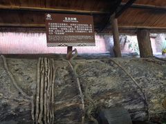 -海南槟榔谷黎苗文化旅游区