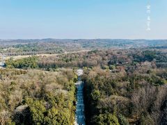 -宜兴龙背山森林公园