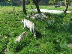 -西安秦岭野生动物园