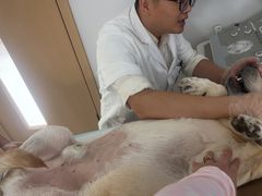 -邢大夫动物医院