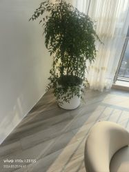 -HEYAN荷妍专业脱毛连锁机构