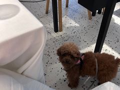 -春树下·树屋花房西餐厅(罍街AS1980店)