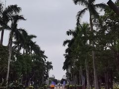 -万绿园